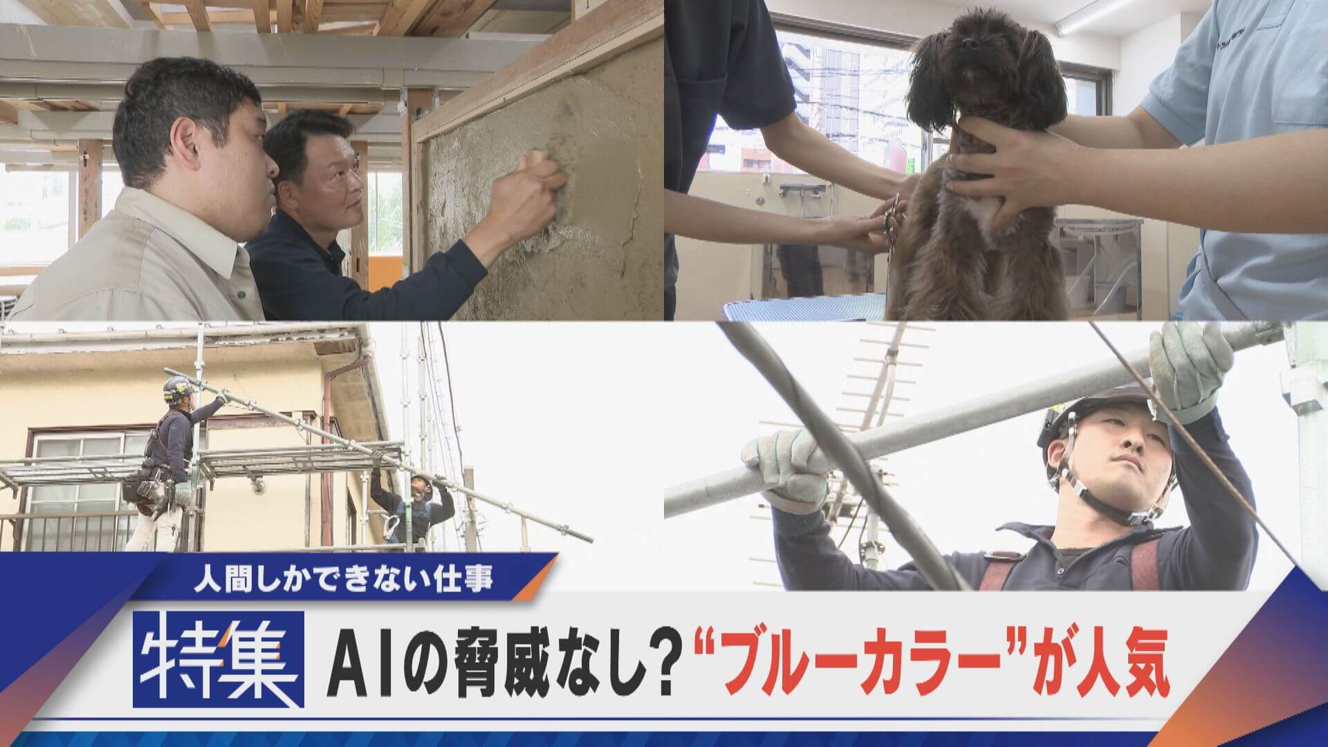 【特集】AIに奪われない？“ブルーカラー”が人気 人間しかできない仕事に注目【newsX】