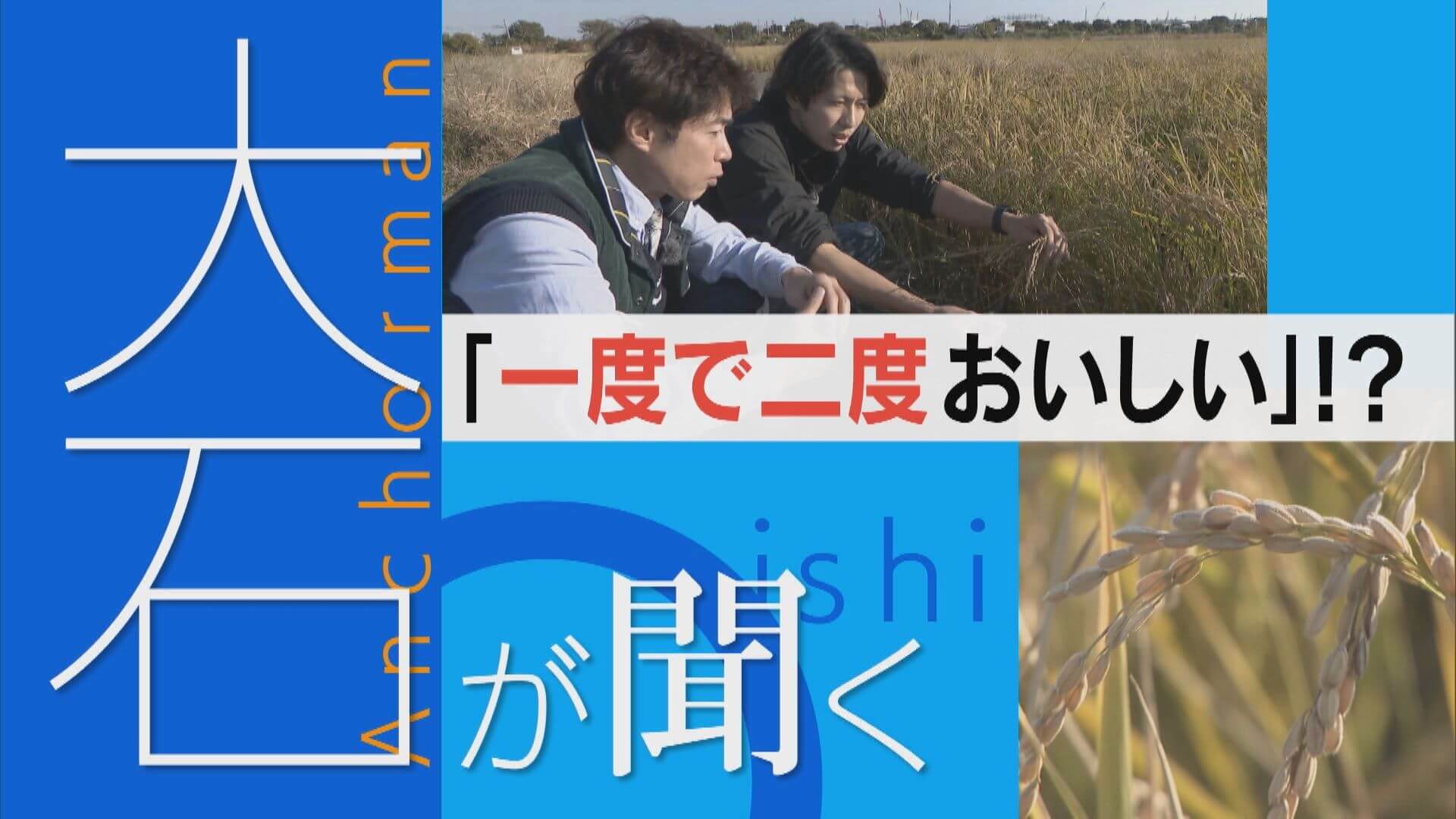 コメ収穫が1.5倍に！？「再生二期作」とは？【大石が聞く】