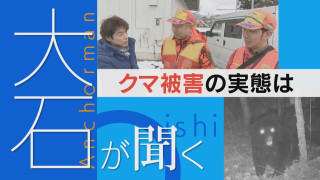 【大石が聞く】冬眠できない？飛騨のクマ被害の実態 冬眠は？