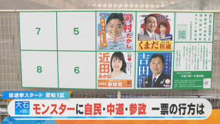 【大石が聞く】国の将来決める選挙 愛知1区 与野党・怪物入り乱れ… 愛知・自民の結果が政権に影響？