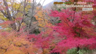 百人一首にも詠まれたほど古くから愛される紅葉の名所『水沢もみじ谷』