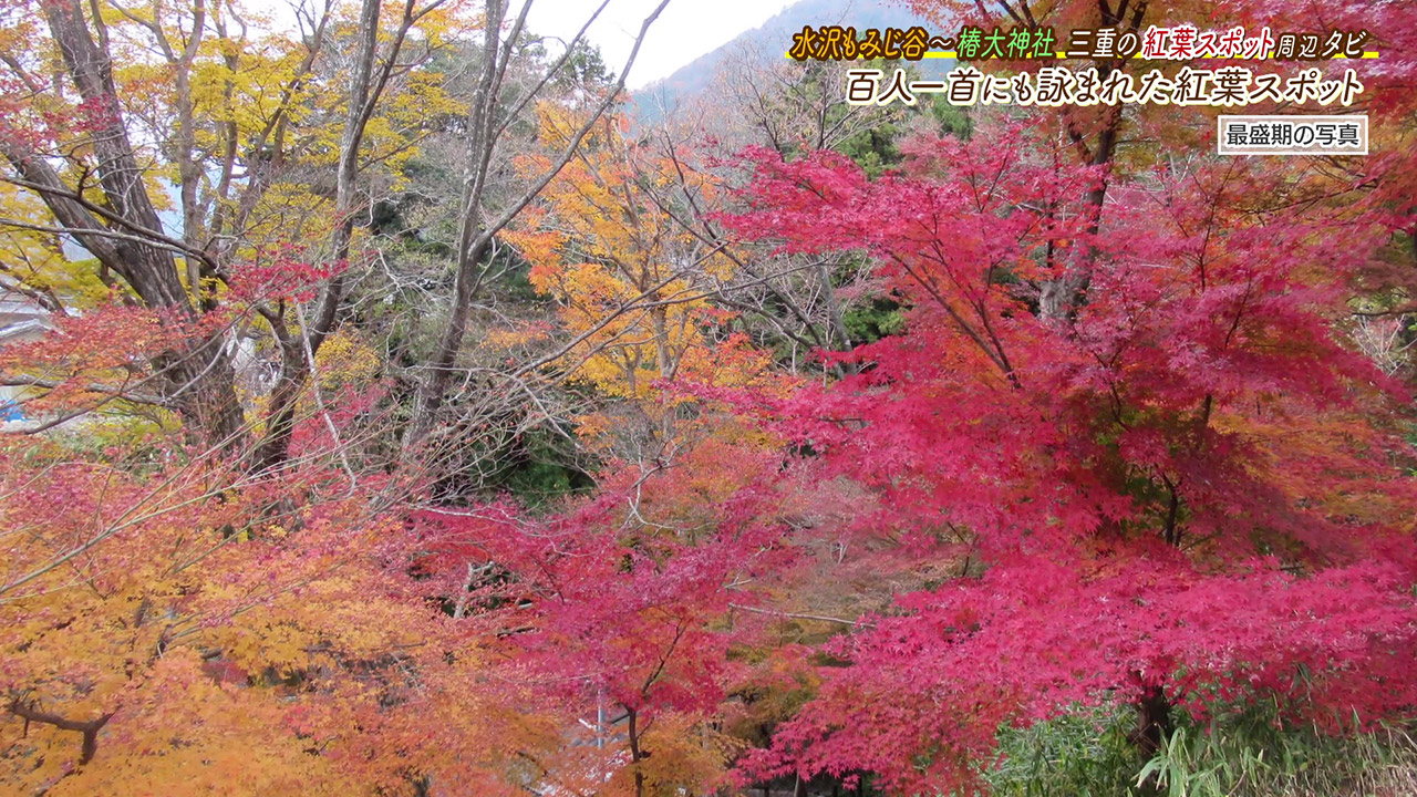 百人一首にも詠まれたほど古くから愛される紅葉の名所『水沢もみじ谷』