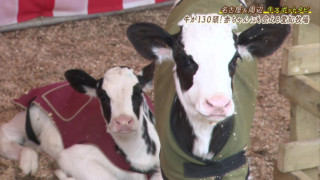 10種類以上の動物とふれあえ牛の乳しぼり体験もできる『愛知牧場』