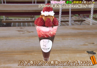 3時のヒロインも大満足！苺とプリンの絶品映えスイーツがいただけるお洒落カフェ＆旬の食材満載の創作割烹など 愛知・岡崎市を巡る旅！