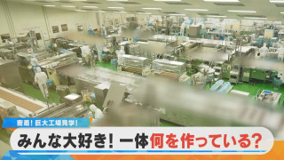 【潜入】岐阜の工場で売り上げNo.1の商品が！何を作っているのでしょうか？【チャント！特集】