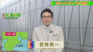 若狭アナのメガネが曇る！『THE TIME,』で「森のキャビア」を全力中継！