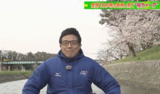 徳川家康の甲冑姿！CBC若狭アナが岡崎公園の桜を川下りでご紹介！