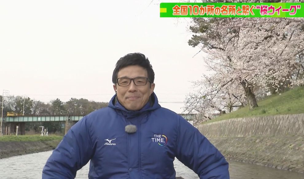 徳川家康の甲冑姿!CBC若狭アナが岡崎公園の桜を川下りでご紹介!