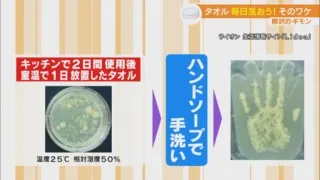 タオルはどのくらいの頻度で洗えばいいの?「お洗濯マイスター」に聞く洗い方、干し方のコツ!