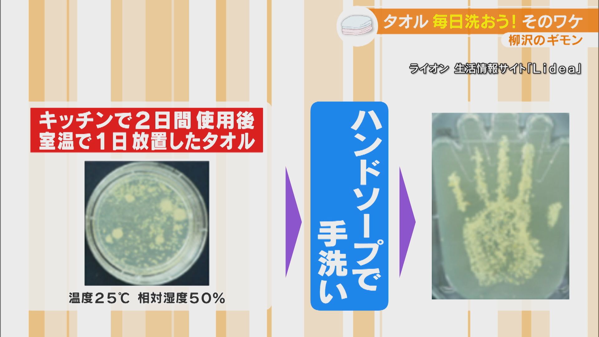 タオルはどのくらいの頻度で洗えばいいの?「お洗濯マイスター」に聞く洗い方、干し方のコツ!