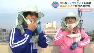 学校の屋上で3万匹のミツバチを育てる高校生…採れたてハチミツはパリのショコラティエも絶賛！愛知・一宮商業地域貢献部をマヂラブがレポート！
