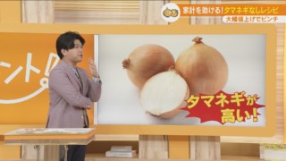 家計を助ける？値段高騰中のタマネギなしレシピを紹介