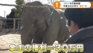 ゾウ愛がスゴすぎて、30万円で象主になっちゃったご夫婦に聞いてみました。