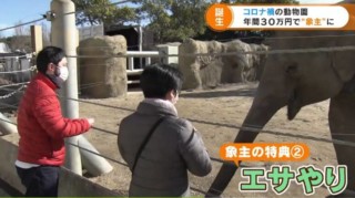 馬主ならぬ象主に！？客と動物園をつなぐ新しい支援の形とは？