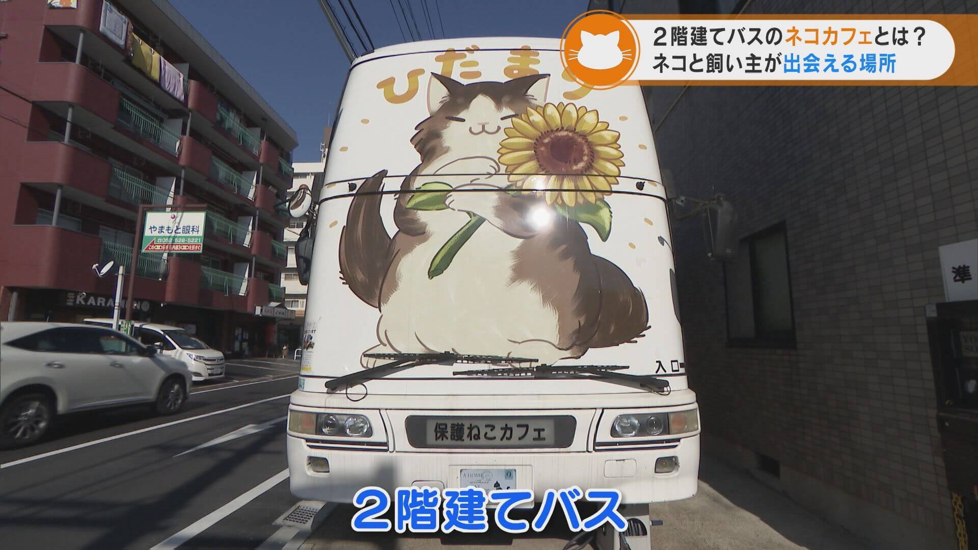 2階建てバスの中にネコカフェ!? 運営する夫婦の「保護猫」への想い