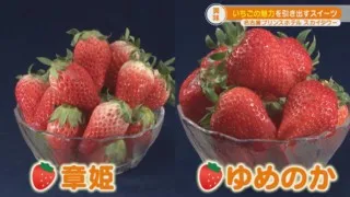 今が旬！イチゴの食べ比べ＆オススメのイチゴスイーツ特集！