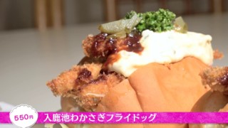 斬新！わかさぎフライをはさんだ「犬山ドッグ」を紹介！ボイメン本田剛文が、国宝犬山城がそびえる街・愛知県犬山市で発掘。