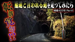 酷道走ってみたら・・・【国道425号】Part 1