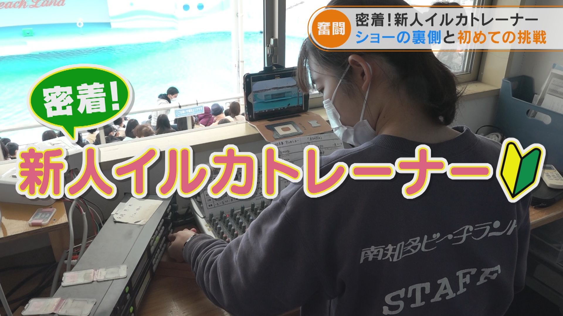 下積みに1年 華やかなイルカショートレーナーの舞台裏