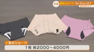 使いやすい生理用品は？　ナプキンだけではない最新生理用品事情