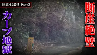 酷道走ってみたら・・・【国道425号】Part 3