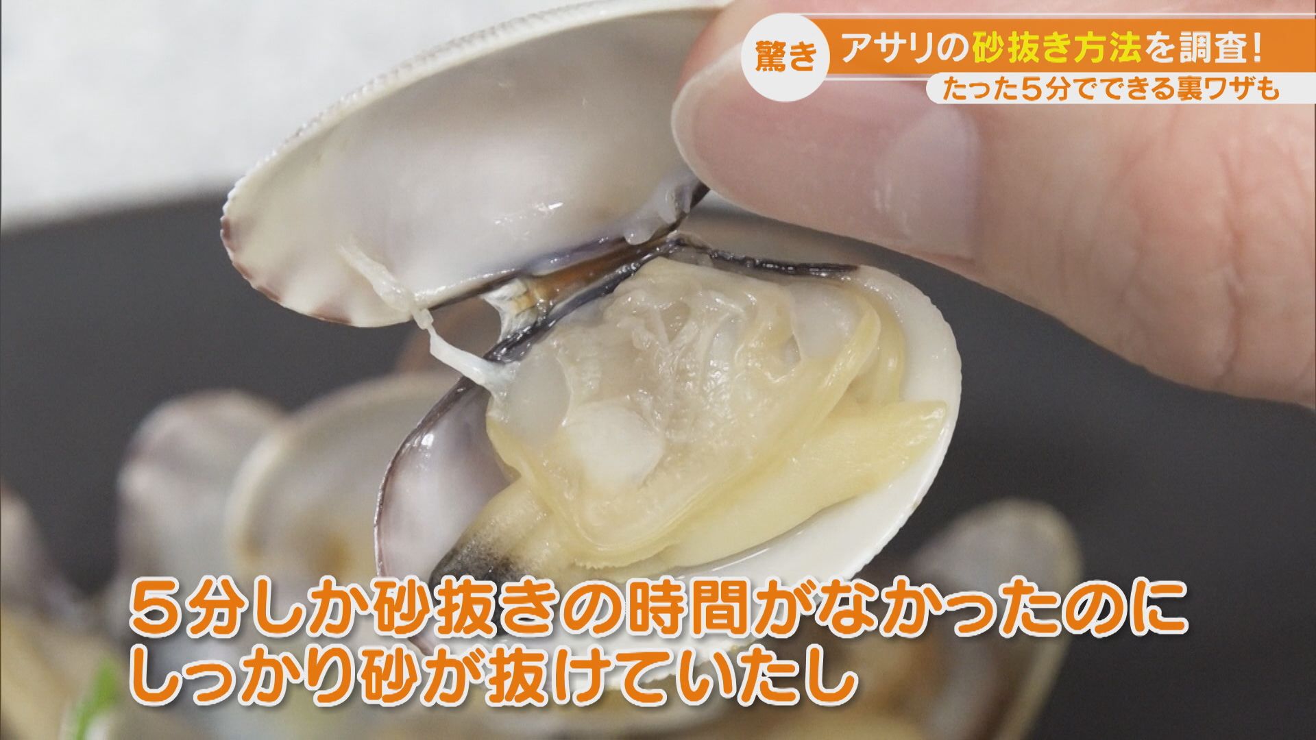 永久保存版・簡単「あさりの砂抜き」時短のコツ。意外な材料でうま味がアップする方法も！