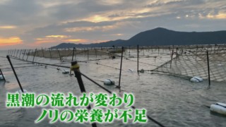 海の幸に異変！？いま伊勢湾で水産資源を巡る死活問題が起こっている
