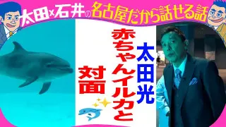 名古屋港水族館　イルカの赤ちゃん【デララバ水族館２時間SP　水曜よる７時】