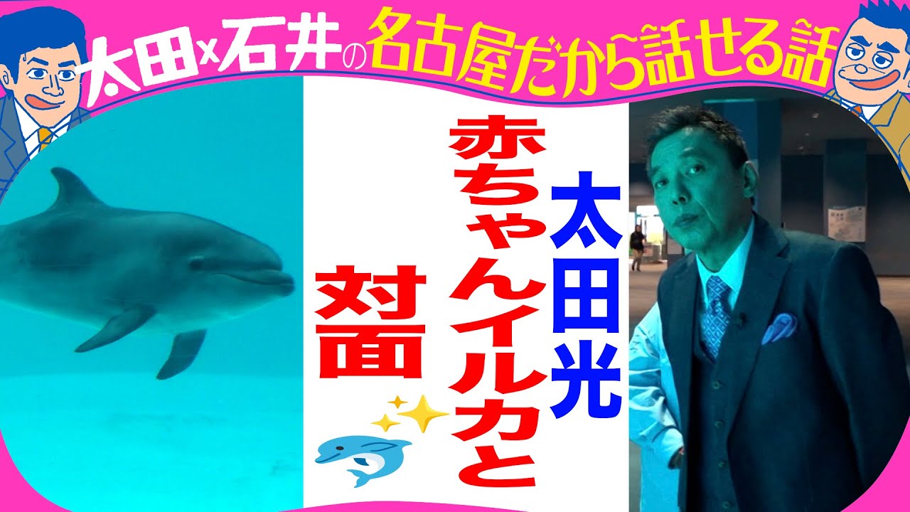 名古屋港水族館　イルカの赤ちゃん【デララバ水族館２時間SP　水曜よる７時】