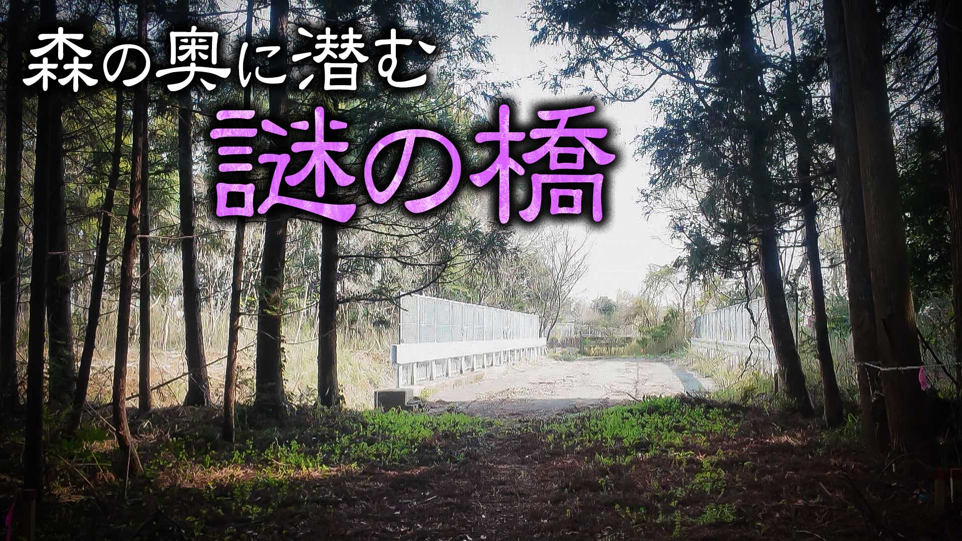 【道マニア】千葉・未開通道路の先に潜む謎の橋の正体【道との遭遇】