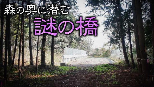 【千葉】未開通道路の先に潜む謎の橋の正体