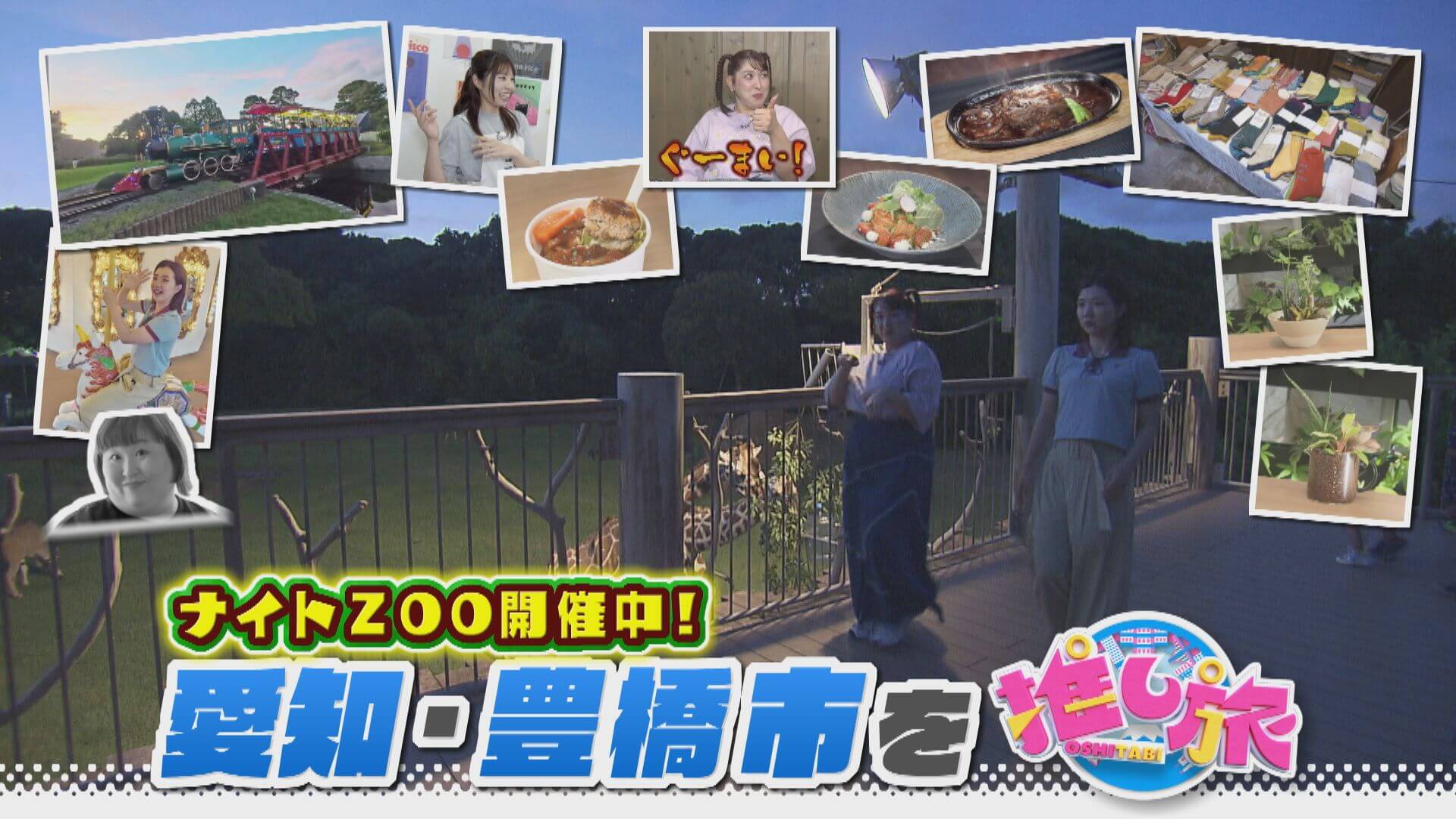 伊賀にオープンした忍者施設！３時のヒロイン豊橋市の旅【花咲かタイムズ】