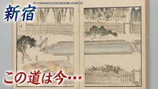 【新宿の歴史】この道は今…