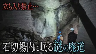 【静岡】立入禁止の石切場内に眠る廃道… 許可を得て調査