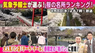 【太田×石井のデララバ】愛知岐阜三重　桜の名所