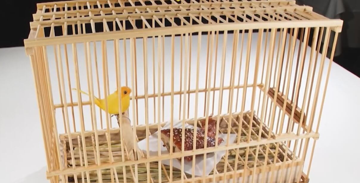“鳥かごに入った手羽先“は本物の料理!?見た目のインパクト強すぎ!実在する料理はどっち?