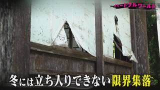 定住者ゼロ＆冬は立ち入り禁止！？岐阜のディープすぎる限界集落“根尾越波”を見守り続ける人々とその理由とは…