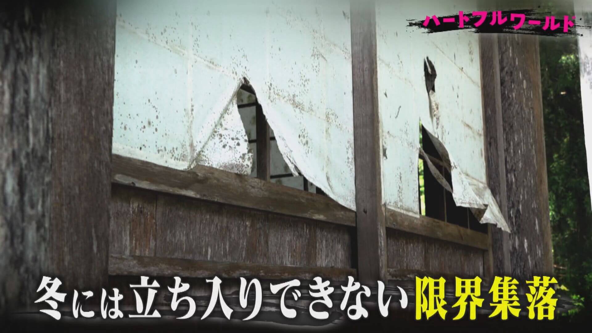 定住者ゼロ&冬は立ち入り禁止!?岐阜のディープすぎる限界集落“根尾越波”を見守り続ける人々とその理由とは…