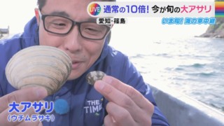 CBC若狭アナが愛知県・篠島から「大アサリ」を紹介！ウエットスーツで素潜り漁に挑戦！