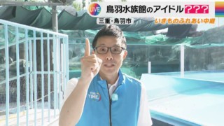 CBC若狭アナが体重600キロのセイウチとふれあい！かわいい仕草に思わずアフレコ！