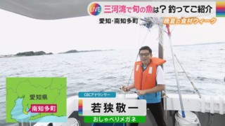 CBC若狭アナが三河湾の船上から旬の幸を紹介！生実況で鯛釣りに挑戦！