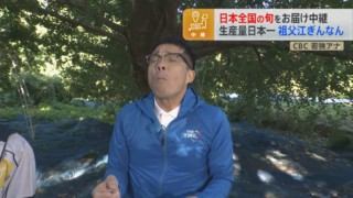 CBC若狭アナが秋の味覚「祖父江ぎんなん」の収穫を生実況！とっておきの食べ方も紹介！
