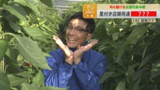 CBC若狭アナが星付き店シェフ絶賛のブランド野菜「飛騨パプリカ」を紹介！驚きの甘さに感動！