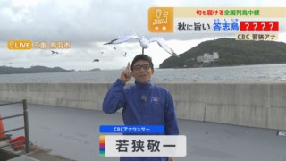 CBC若狭アナが鳥羽から秋に旨いブランド魚を紹介！頭上の“カモメ？”と一緒に食リポ！