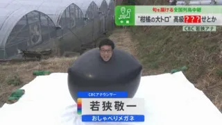 CBC若狭アナが巨大バルーン姿で高級みかん「蒲郡せとか」を生実況！“柑橘の大トロ”の甘さに感動！
