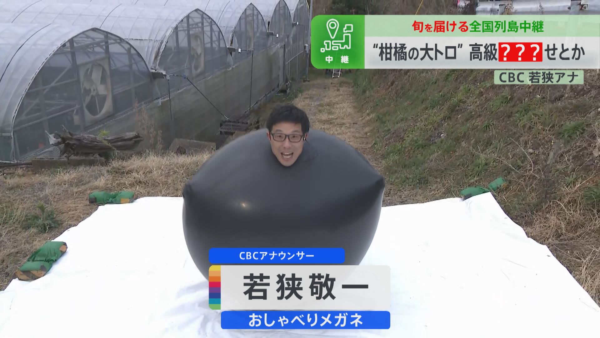 CBC若狭アナが巨大バルーン姿で高級みかん「蒲郡せとか」を生実況!“柑橘の大トロ”の甘さに感動!