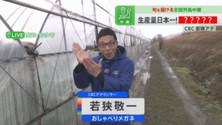 食べる部分は葉っぱ？茎？CBC若狭アナが旬の野菜「早生ふき」に舌鼓！