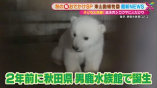 めったに見られないあの珍しい動物とゼロ距離でご対面！ 『東山動植物園』の最新人気スポットを体験リポート！！