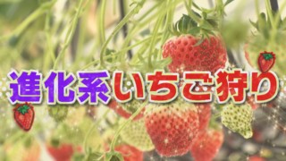 今が旬のいちごが楽しめる！東海地方の“進化系いちご狩り”を 大調査！