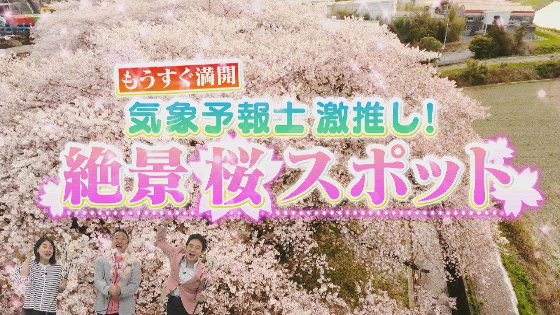 “花鳥風月”の達人・気象予報士が厳選する東海地方の桜絶景スポット